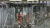 Представитель ООН утверждает, что в Гуантанамо продолжаются пытки 