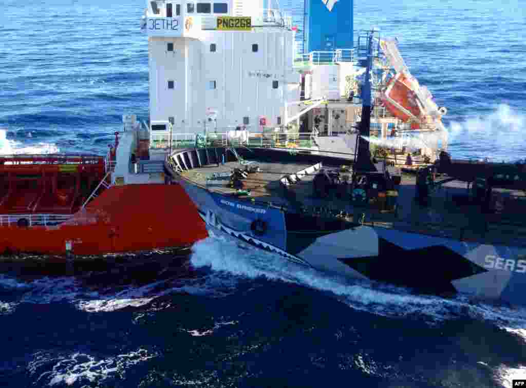 The Sea Shepherd ship &quot;Bob Barker&quot; (right) collides with a Japanese whaling fleet fuel tanker as Japanese whalers and militant conservationists clashed in icy waters off Antarctica. (AFP/Institute of Cetacean Research)