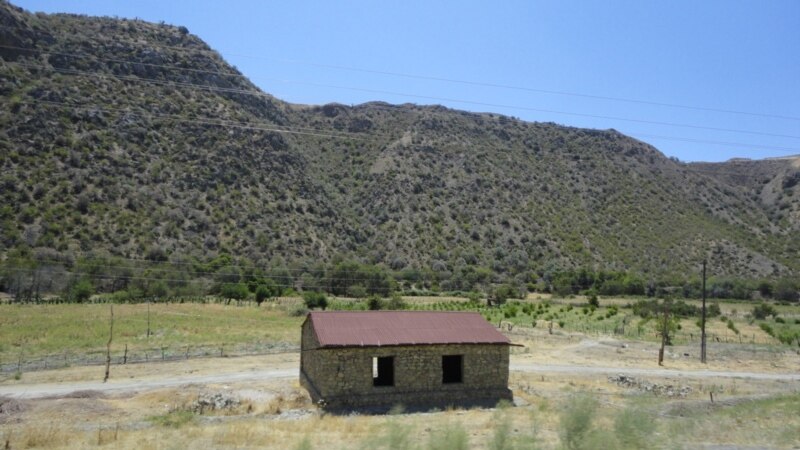 Ekinini sowuk uran daýhanlara zyýanyň 'Alladan gelendigi' aýdyldy
