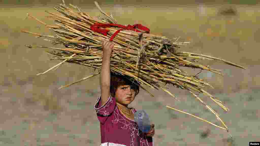 An Afghan girl carries a pile of dried shrubs, which she gathered to use for cooking and heating purposes on the outskirts of Kabul on September 27. (REUTERS/Omar Sobhani)