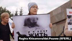 В Казани поддержали общероссийскую акцию зоозащитников "Закон нужен сейчас"
