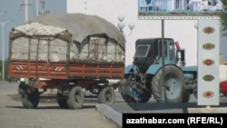 Туркменские хлопкоробы говорят, что государство снова их обмануло, заплатив в три раза меньше обещанного