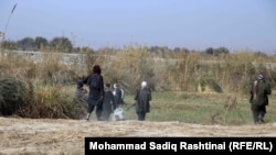 Taliban fighters in a rural district of Kandahar.