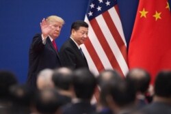 Presidenti amerikan, Donald Trump dhe ai kinez, Xi Jinping.