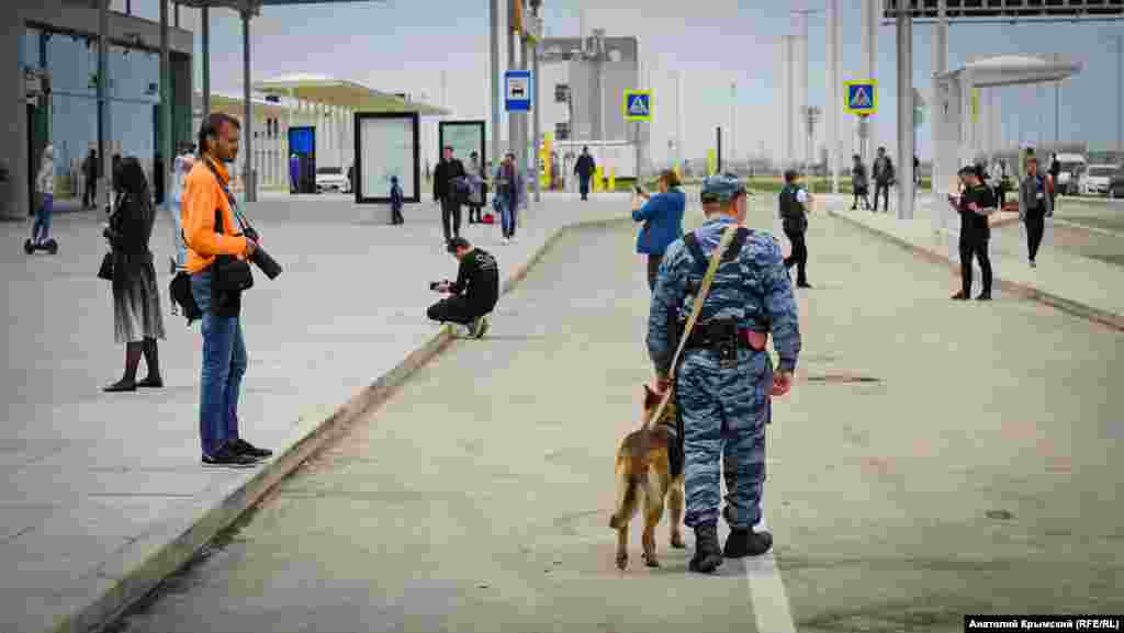 Німецька вівчарка в аеропорту – теж на службі