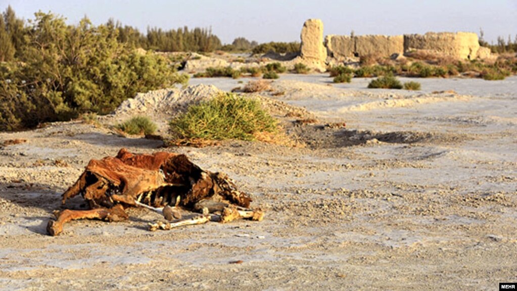 Vanished wetlands in Sistan Basin on the Irano-Afghan border. File photo