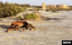 Vanished wetlands in the Sistan Basin on the Iranian-Afghan border