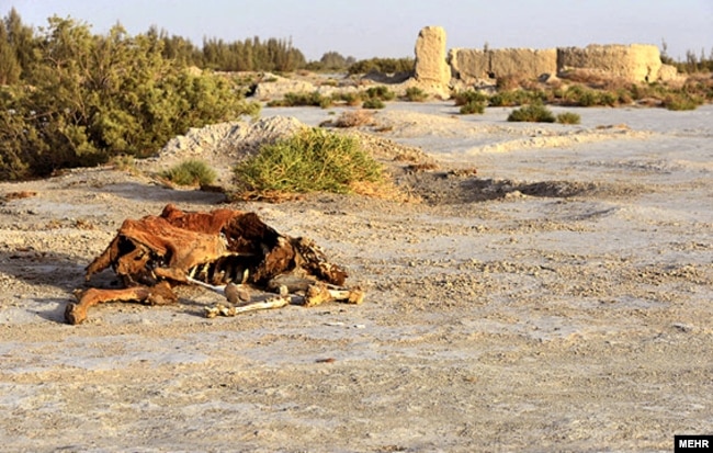 Vanished wetlands in the Sistan Basin on the Iranian-Afghan border