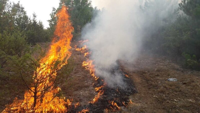 Локализиран пожарот кај тетовско Седларево, активни уште неколку пожари низ земјата