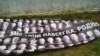 Сорванный баннер «Расстрелянное будущее» с портретами жителей Боровска, ставших жертвами репрессий в советские годы