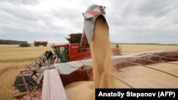 A combine discharges wheat from a field near the village of Krasne in the Chernihiv area.