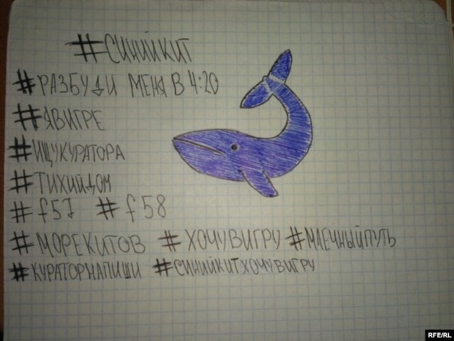 Foto porezannie veni letra