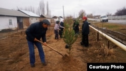 Residents of the eastern Uzbek city of Andijon complain that they are spending half of their salaries to buy the seedlings.
