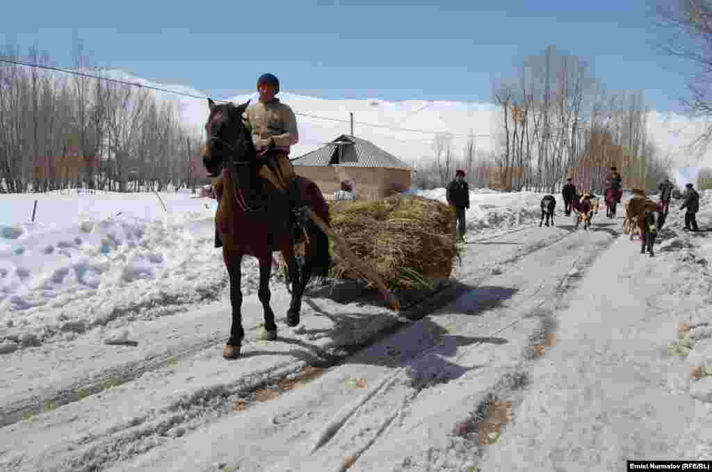 Крестьяне запасают сено. Кыргызстан, Ошская область.