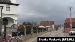 Veliki Trnovac (2011.)