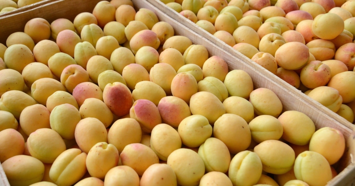 Armenian Fruit Imports Also Banned By Russia