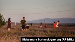 Лавандовое поле в селе Тургеневка Бахчисарайского района, Крым, 2019 год