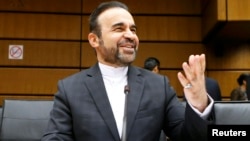 رضا نجفی، نماینده ایران در آژانس انرژی اتمی