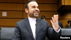 رضا نجفی، نماینده ایران در آژانس