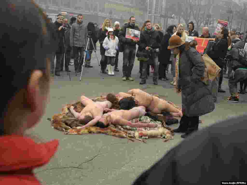 Aktivisti udruženja "Sloboda za životinje" organizirali su protest pod nazivom ¨Srbija bez krzna¨, 18.11.2011.