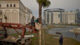 Skopje, Macedonia. Muncitori acoperă un palmier chinezesc în valoare de € 500. Mai toți palmierii sădiți iarna au murit de frig.
