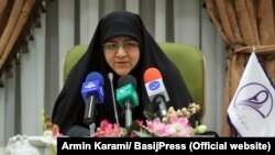 Minou Aslani, leader of the women’s branch of the Basij domestic security force, blamed the rumor on foreign "enemies" of Iran.