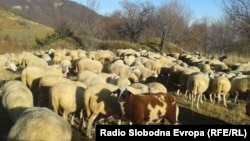 Илустрација/Фотоархива