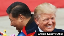 Пекин. 9 ноября 2017. Председатель КНР Си Цзиньпин и президент США Дональд Трамп (слева направо) во время встречи у Дома народных собраний