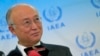 یوکیا آمانو، رئیس آژانس بین‌المللی انرژی اتمی، می‌گوید هر توافقی با ایران باید حاوی این نتیجه باشد که بازرسان آژانس به تاسیسات ایران دسترسی داشته باشند 