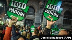 Protest împotriva tăierii ilegale a pădurilor