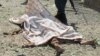 فاریاب: شش طالب مسلح در ولسوالی غورماچ کشته شدند