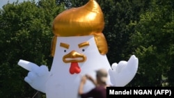 Надувной цыпленок, напоминающий Дональда Трампа, установлен в Вашингтоне