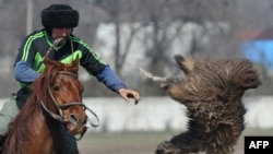 Иллюстративное фото. 