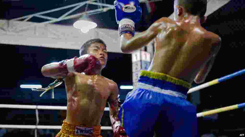 Muay Thai boxers fight in the ring