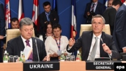 Надежда Савченко на саммите НАТО в Варшаве 