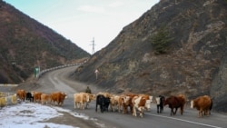 Иллюстративное фото