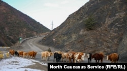 Иллюстративное фото