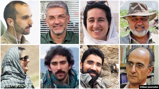 Iranian Environment ecologists jailed for morethan year, (from top-left clockwise): Sam Rajabi, Houman Jowkar, Niloufar Bayani, Morad Tahbaz , Kavous Seyed-Emami (died in prison), Taher Ghadirian, Amir Hossein Khaleghi, and Sepideh Kashani -