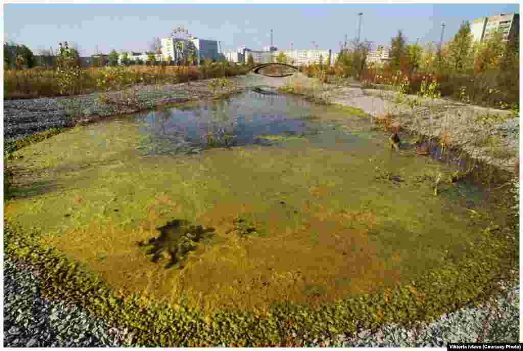 In an essay published last year on the 30th anniversary of the Chernobyl disaster, Ivleva recalled seeing sunbeams streaming through a hole in the&nbsp;sarcophagus&nbsp;encasing the fourth reactor. &quot;The tiny dust particles dancing in these rays transformed this apocalypse into this kind of strange, theatrical beauty,&quot; she says. &quot;Never in my life have I witnessed a scene so beautiful and so deadly.&quot;