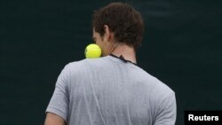 Teniseri skocez, Andy Murray (Ilustrim)