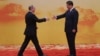 Briefing: Mr. Putin Goes To China