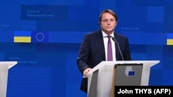 «Вся підготовка до вступу, швидше за все, займе більше часу, ніж рік або два», – Олівер Варгеї