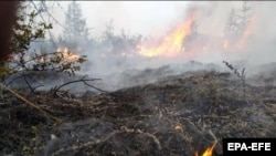 Минулого року тривала аномально спекотна погода викликала пожежі в лісах на півночі Росії і в тундрі