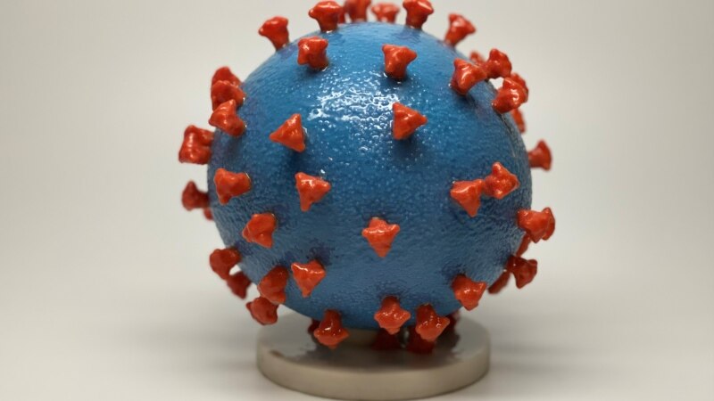 МЗ: 29 нови случаи на коронавирус, вкупно 114