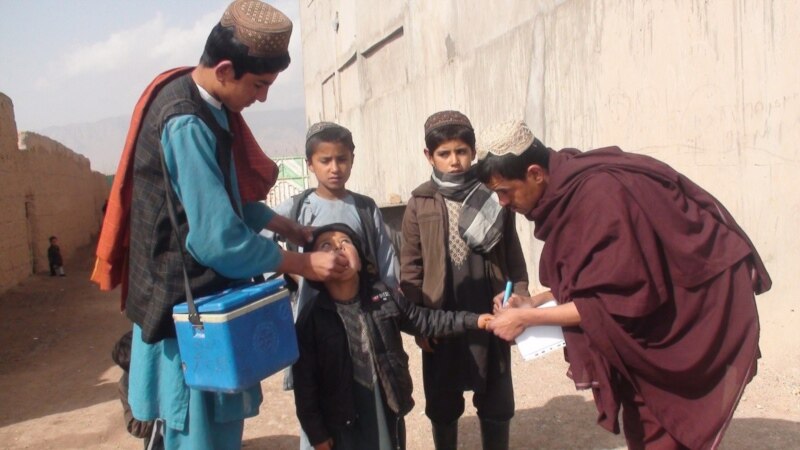 په افغانستان کې د ګوزڼ ضد واکسین کمپاین پيل شو