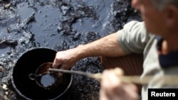 Хајрудин Билалиќ неодамна најде нафта во неговиот двор во Дубраве близу Тузла.