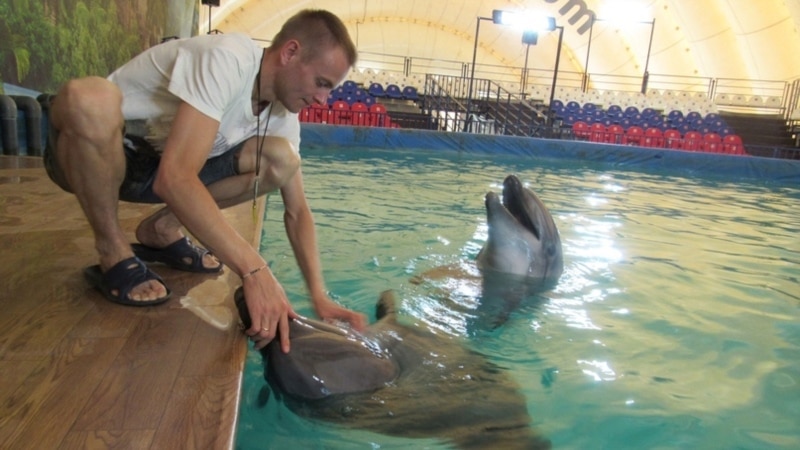 В Ижевске активисты снова вышли на акцию у дельфинария
