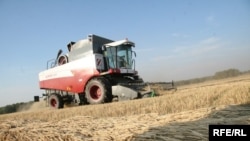 Идет уборка урожая зерновых в Северо-Казахстанской области. Октябрь 2008 года.
