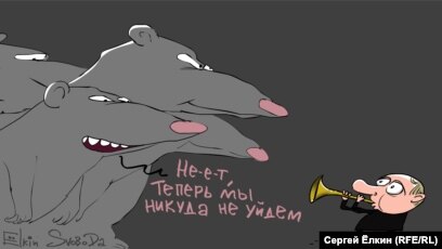 AD244C06-A502-4F73-942A-19614CAFEE3E_w40