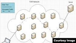 Схема працы Tor. Выява: forensicmag.com